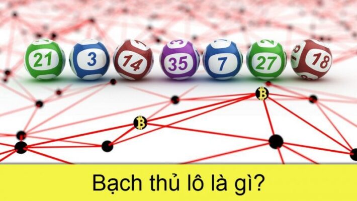 Hình ảnh 1: Bạch thủ lô là gì? 
