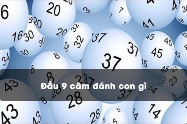 soi cầu lô tìm con số may mắn sẽ xuất hiện khi thấy đầu 9 câm