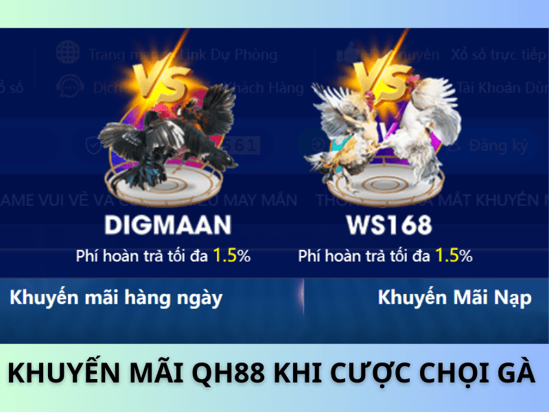 KHUYẾN MÃI QH88 KHI CƯỢC CHỌI GÀ