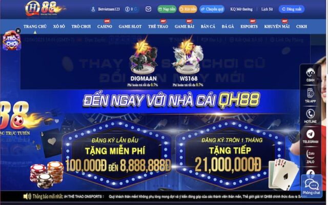 Sảnh chơi Đá Gà mới tại nhà cái luôn đảm bảo cung cấp dịch vụ đỉnh cao