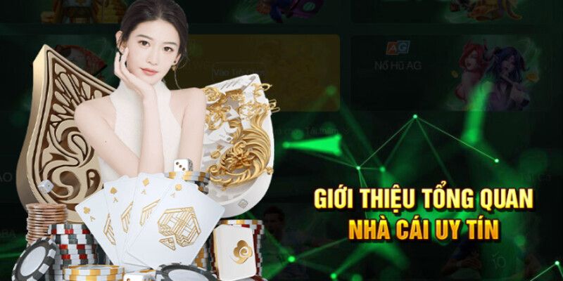 Sơ lược cơ bản thông tin đến với nhà cái EV88